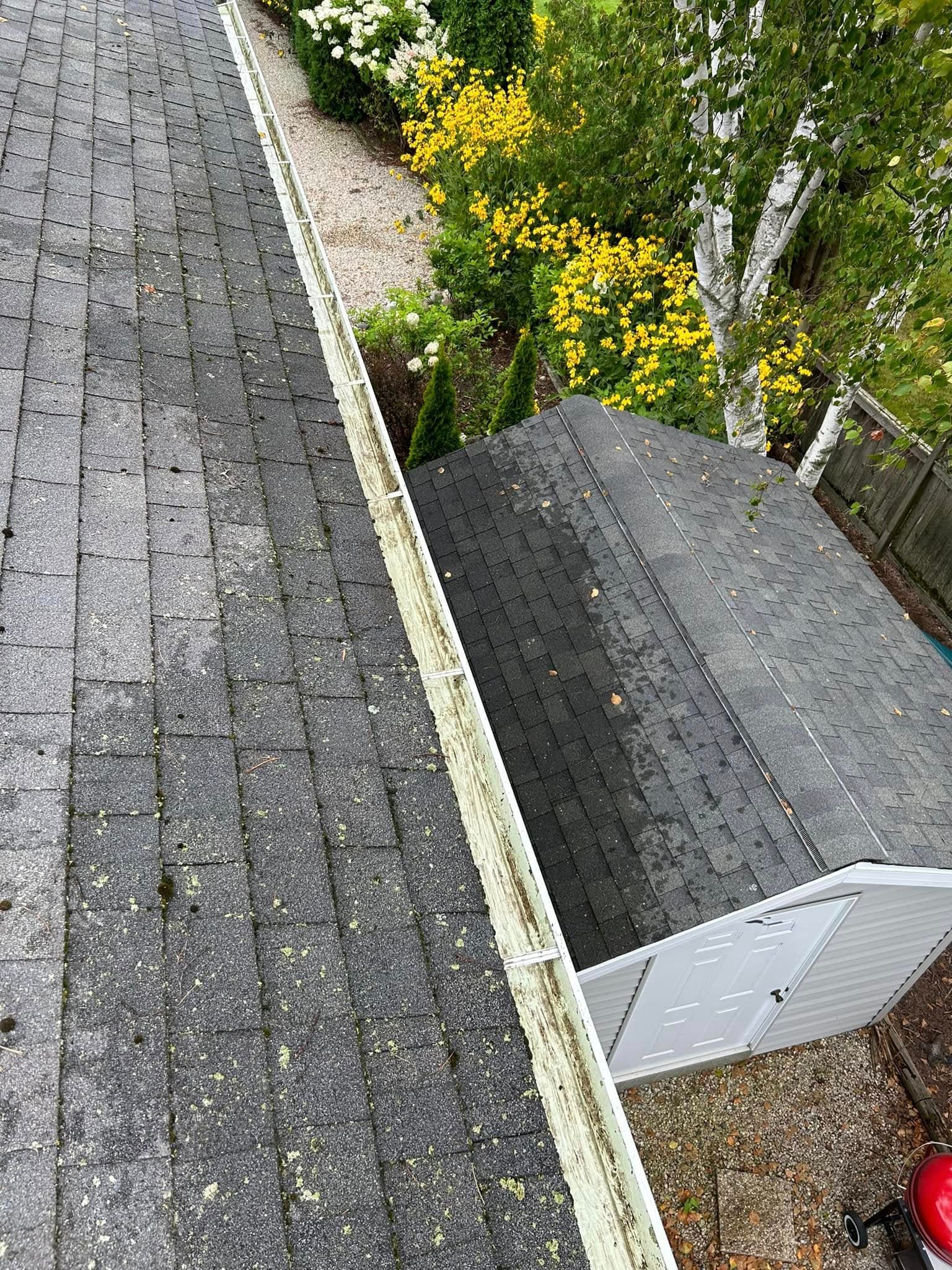Aerial view of a sloped roof with moss, adjacent to a gray storage shed and greenery.