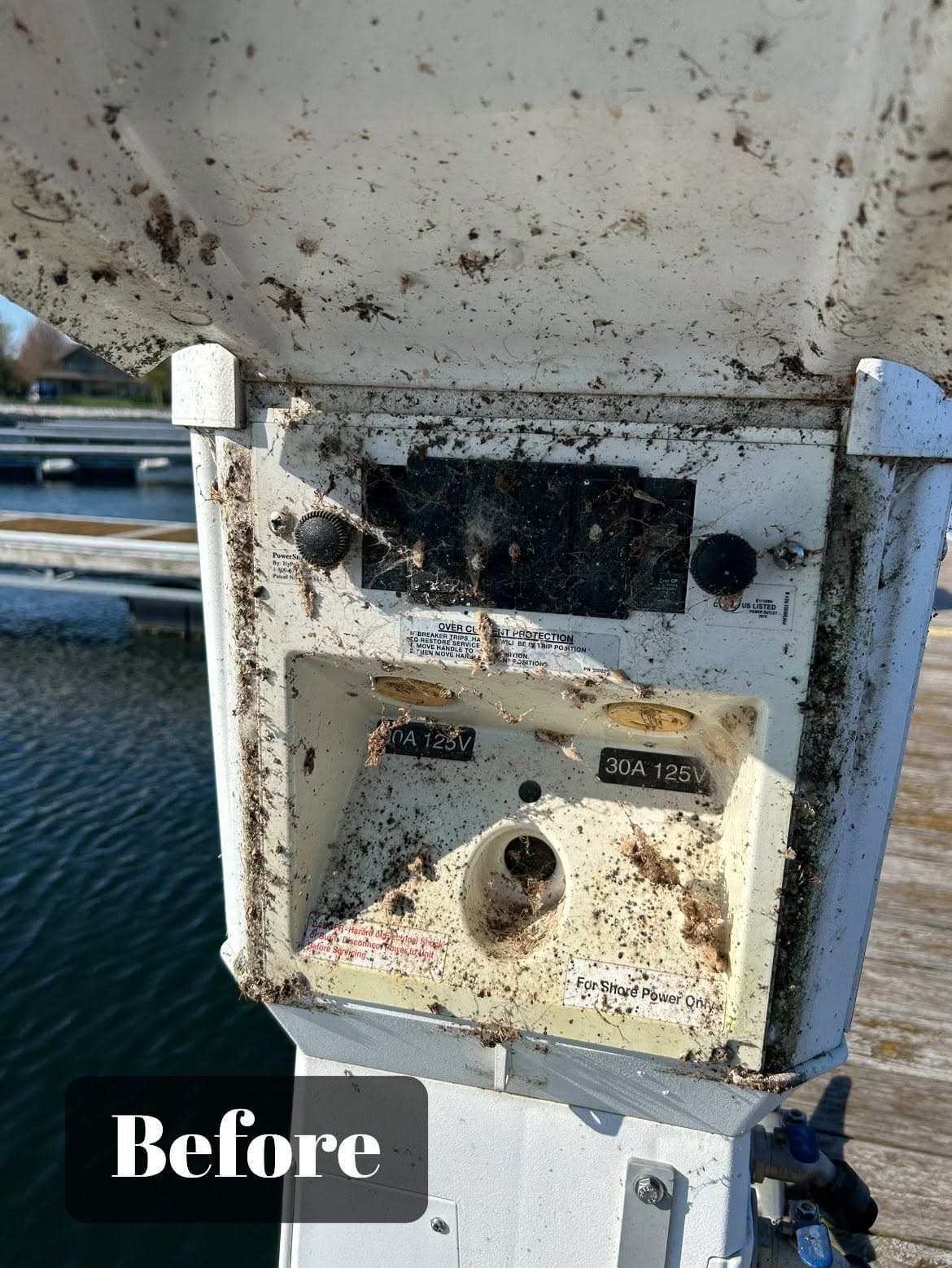 Dirty marina power pedestal with visible grime and spiderwebs, showcasing maintenance needs.