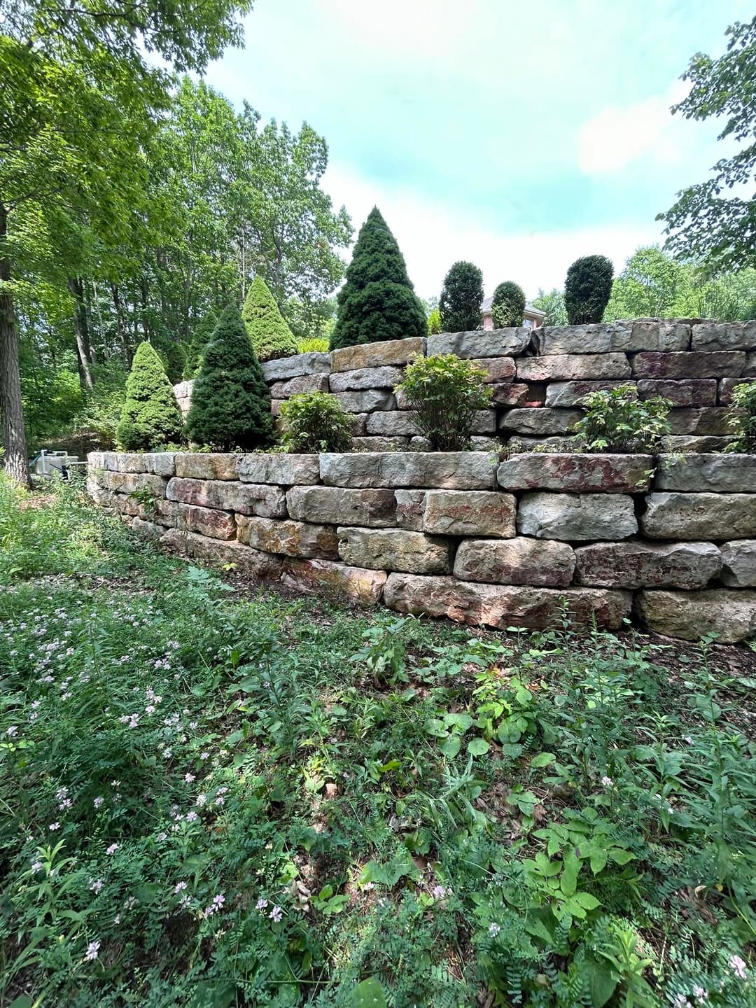 Stone retaining wall with manicured shrubs and greenery in a lush woodland setting.